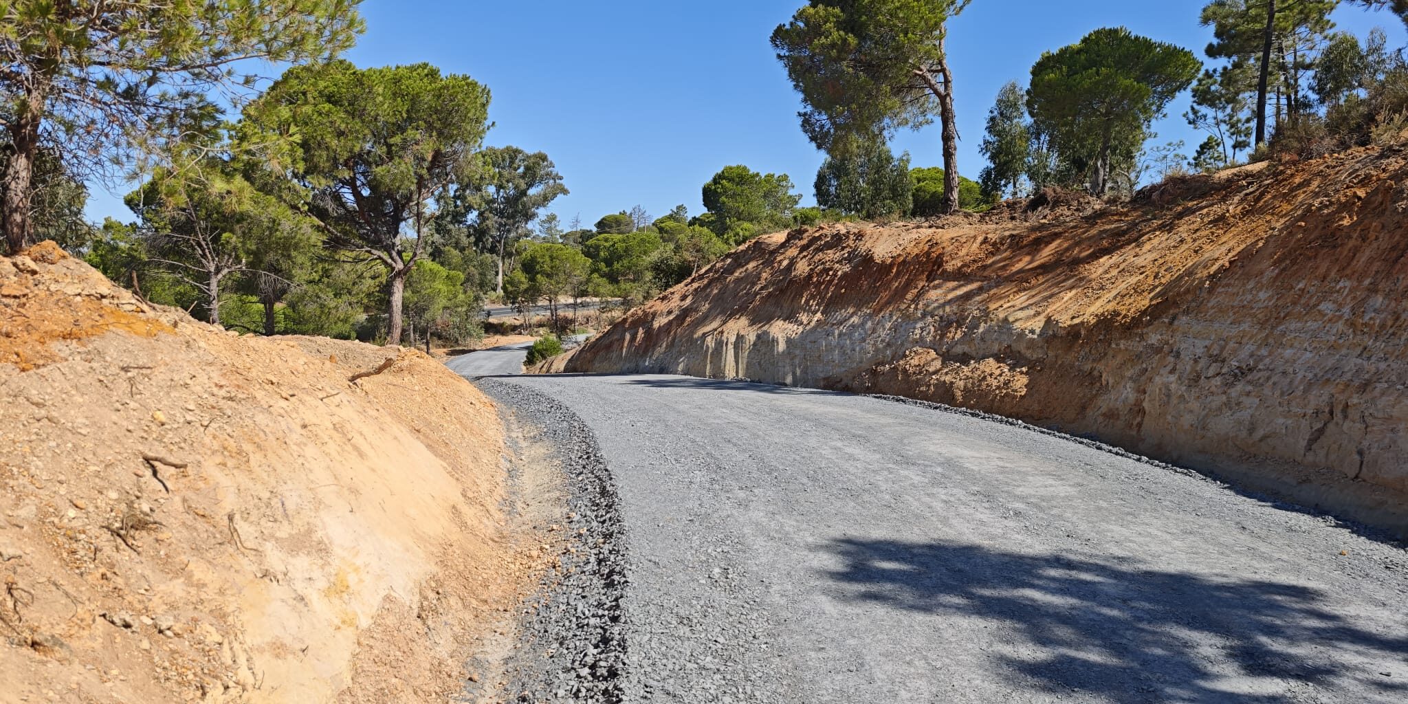 517589317_1159263872906707_8987366191331104336_n