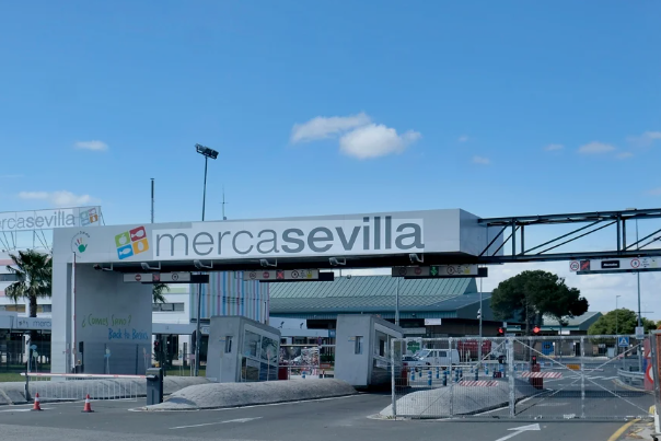 Foto Tr Construya de Tr Construya - Empresa Constructora 2